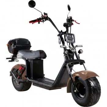 Электроскутер Skyboard Volga BR20 2WD 4000W CityCoco Коричневый